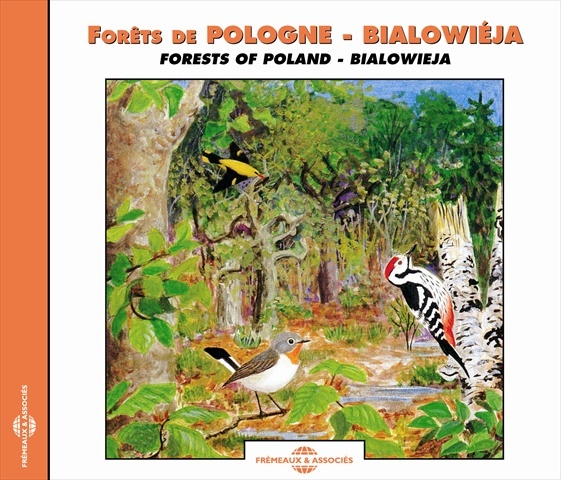 FORETS DE POLOGNE BIALOWIEJA CONCERTS NATURELS SUR CD AUDIO