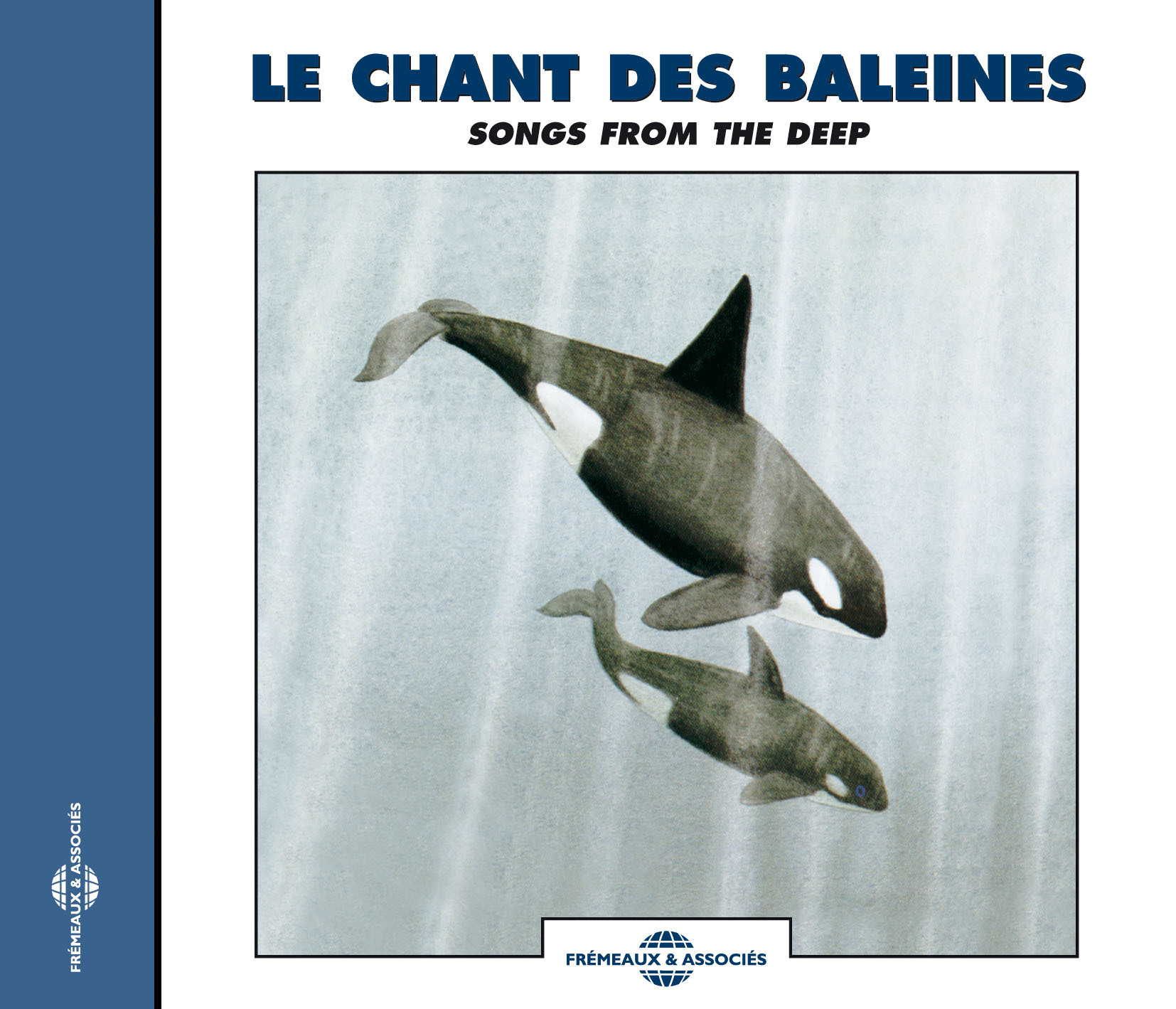 LE CHANT DES BALEINES