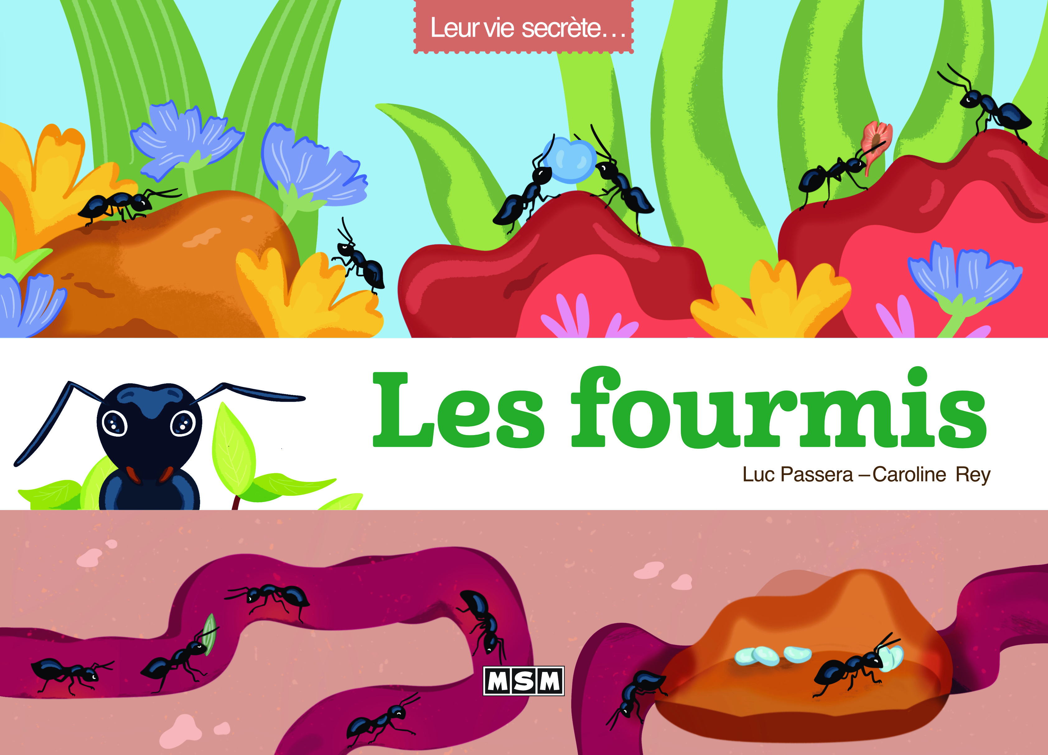 LES FOURMIS