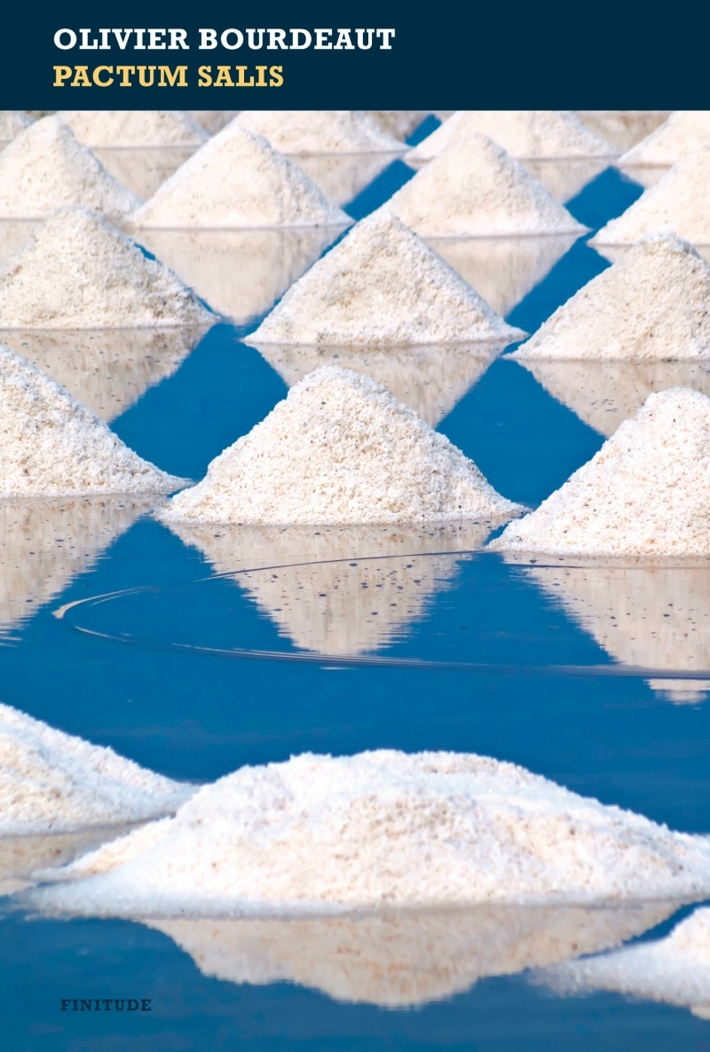PACTUM SALIS