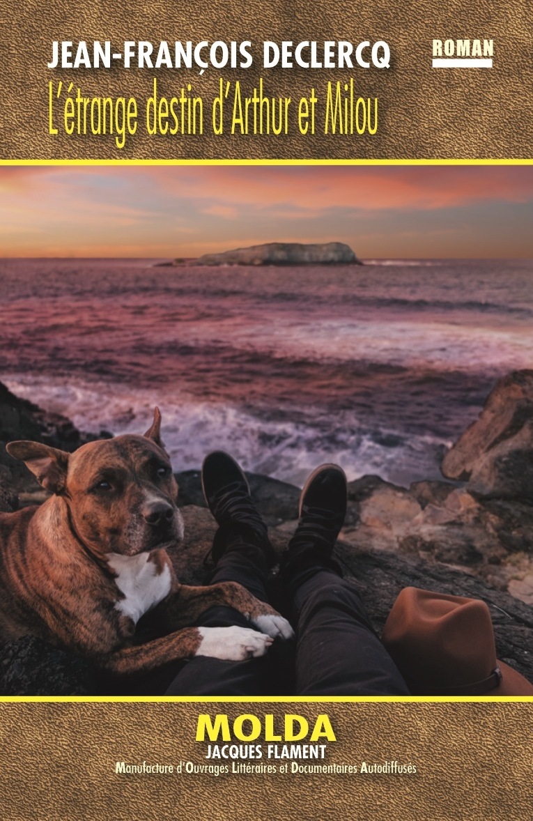 L'ÉTRANGE DESTIN D'ARTHUR ET MILOU