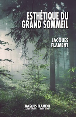 ESTHÉTIQUE DU GRAND SOMMEIL