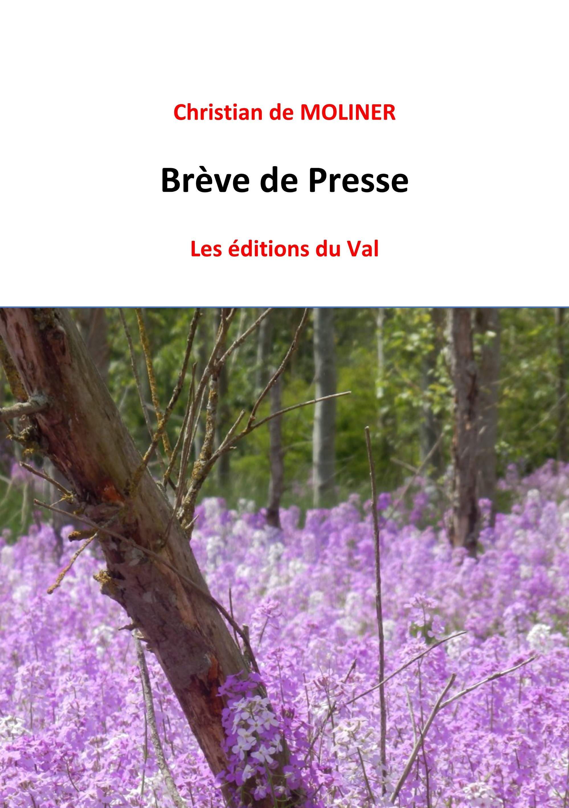 Brèves de Presse