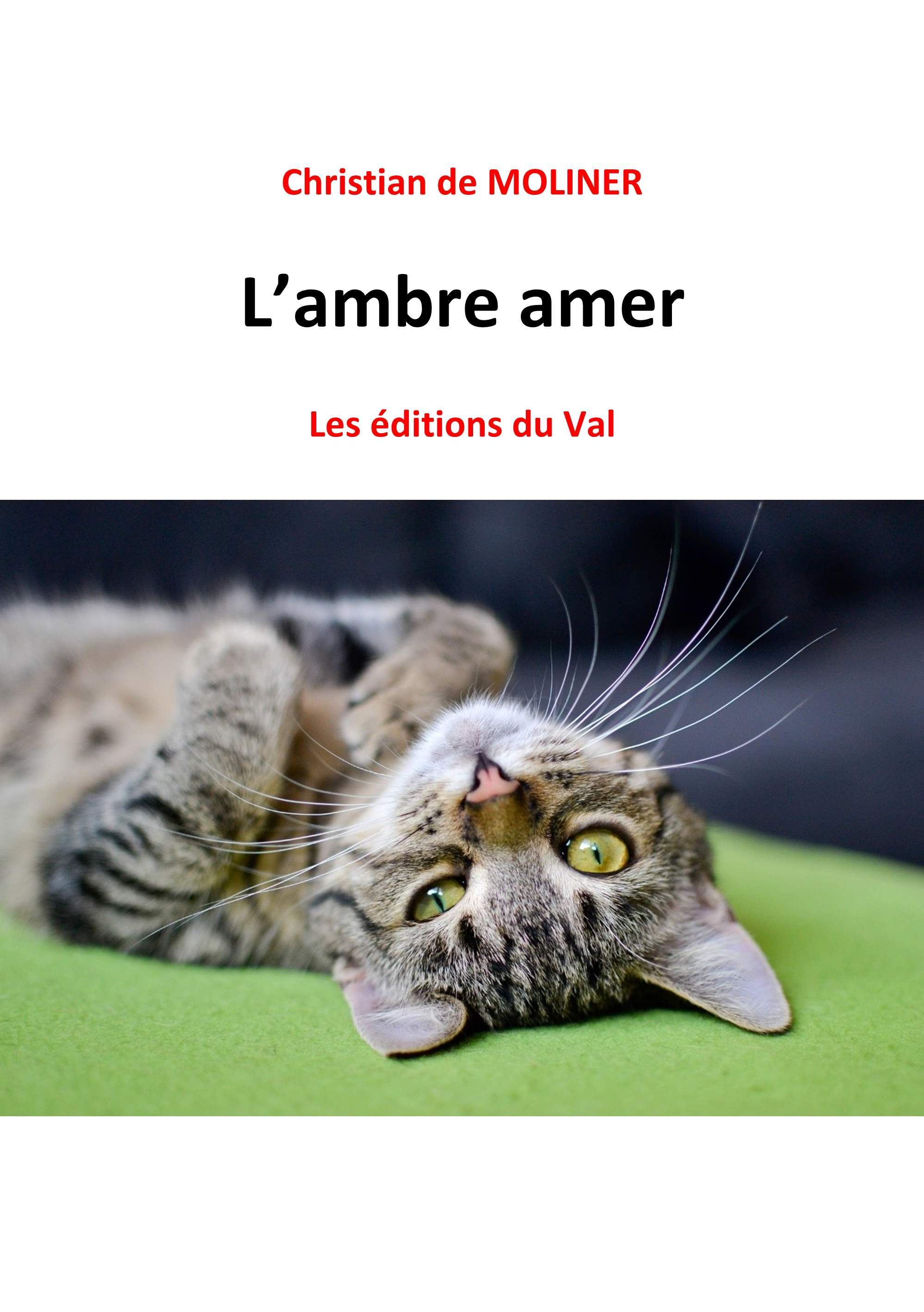 L'ambre amer