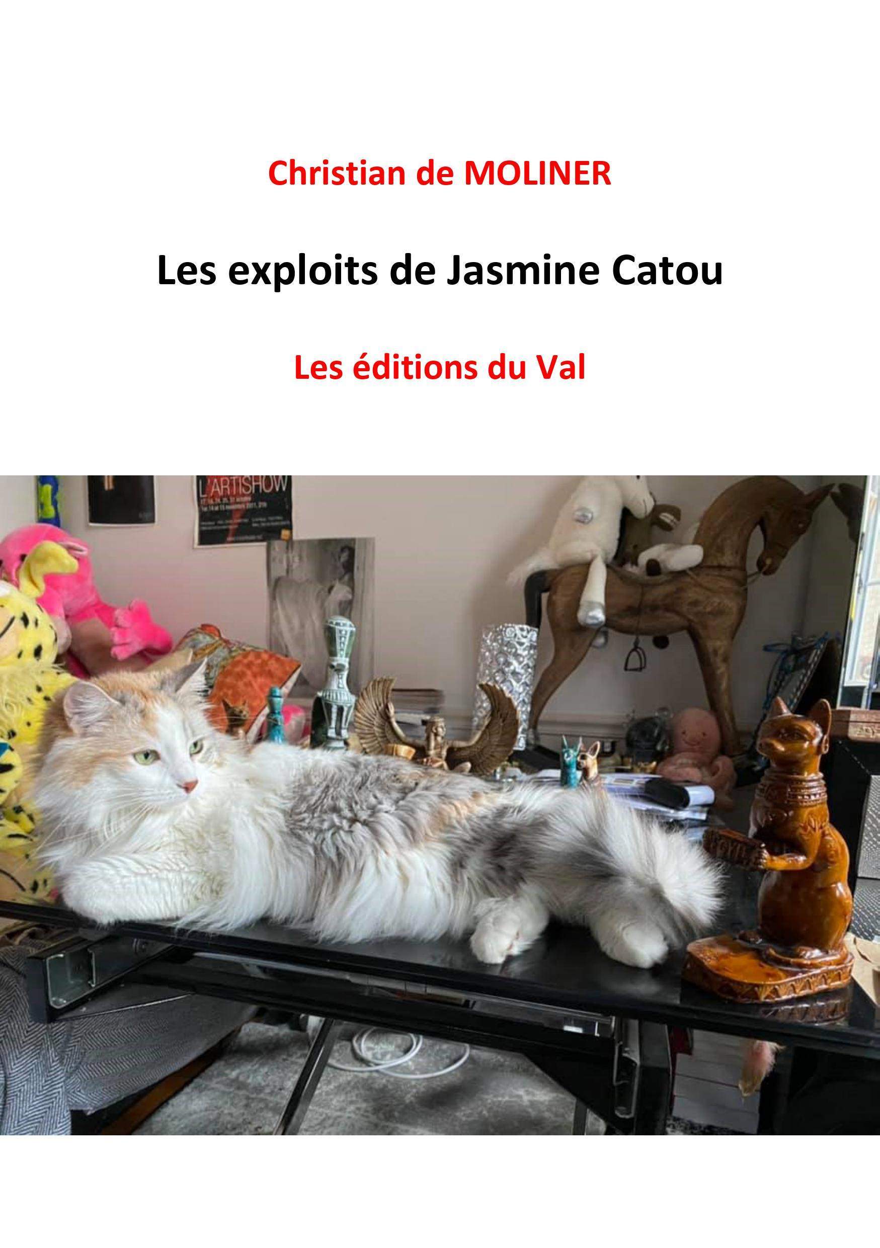 Les exploits de Jasmine Catou