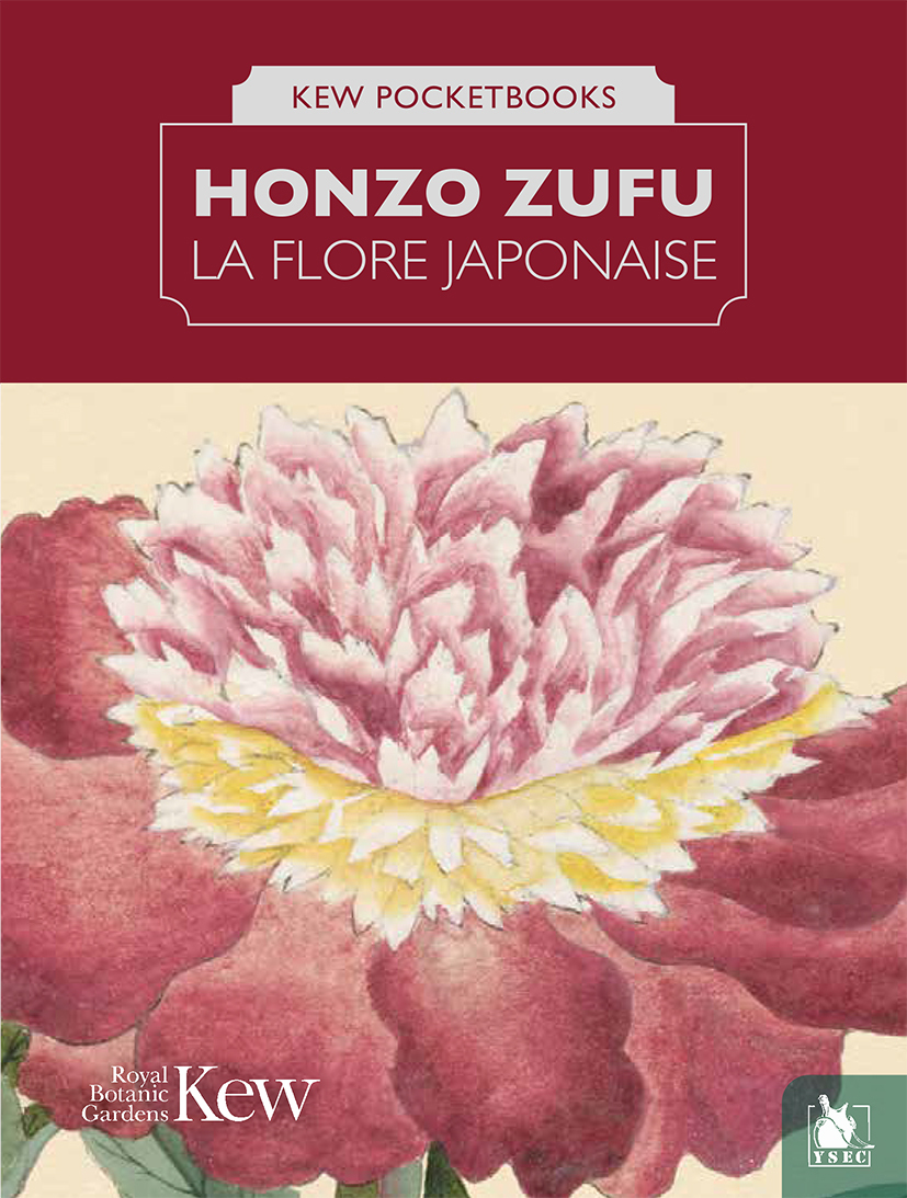 Honzo Zufu, la flore japonaise