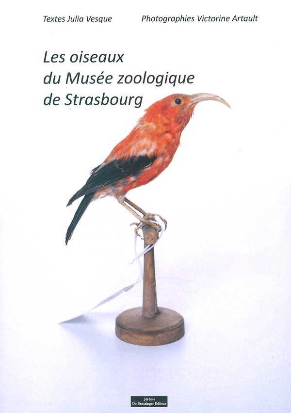 Les oiseaux du musée zoologique de Strasbourg