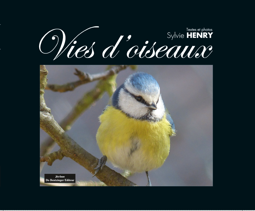 Vies D'Oiseaux