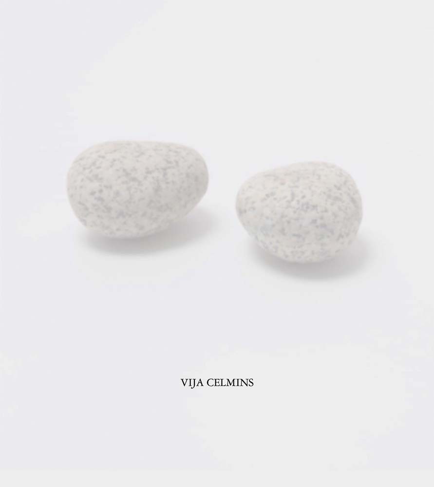 Vija Celmins /anglais