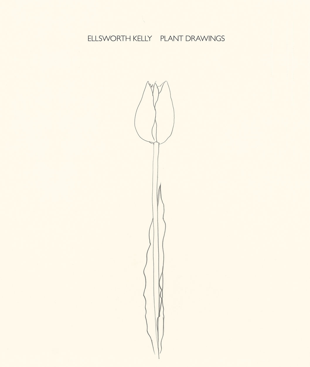 Ellsworth Kelly Plant Drawings /anglais