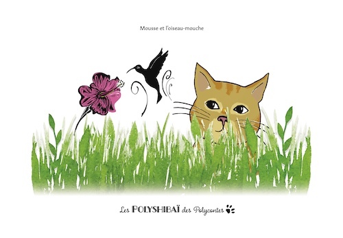 Kamishibaï A3 Mousse et l’oiseau-mouche
