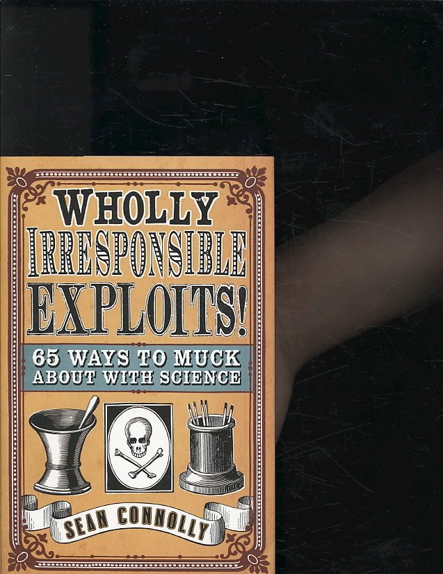 Wholly Irresponsible Exploits