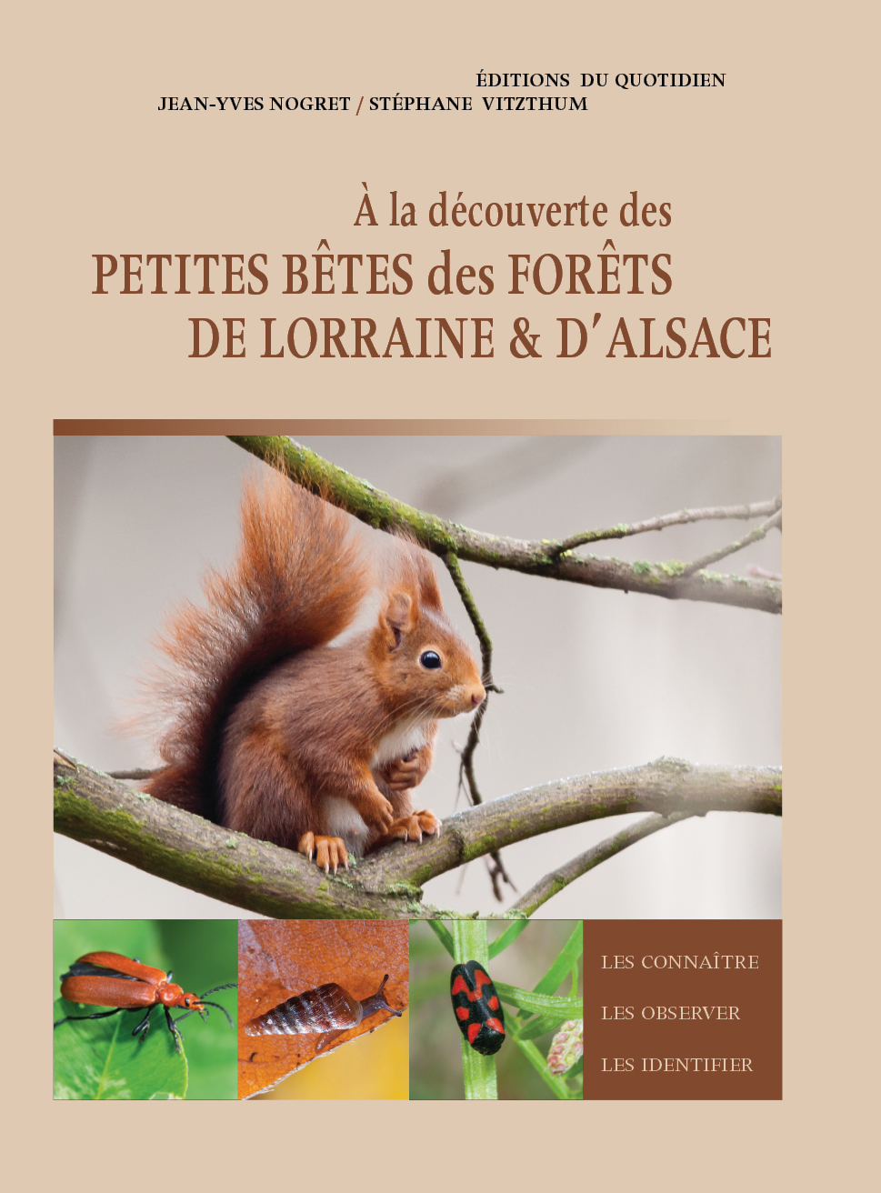 A LA DECOUVERTE DES PETITES BETES DES FORETS DE LORRAINE ET D'ALSACE