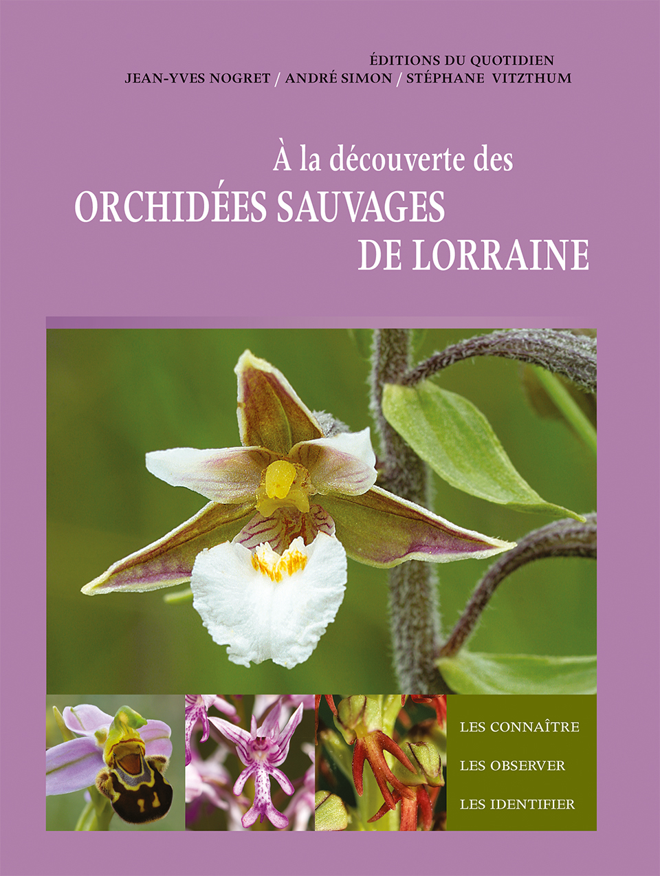 A LA DECOUVERTE DES ORCHIDEES SAUVAGES DE LORRAINE