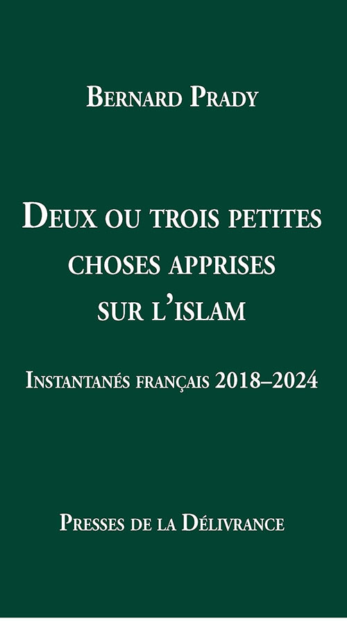 Deux ou trois petites choses apprises sur l'islam