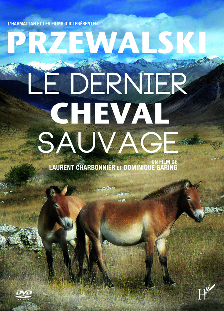 Przewalski, le dernier cheval sauvage
