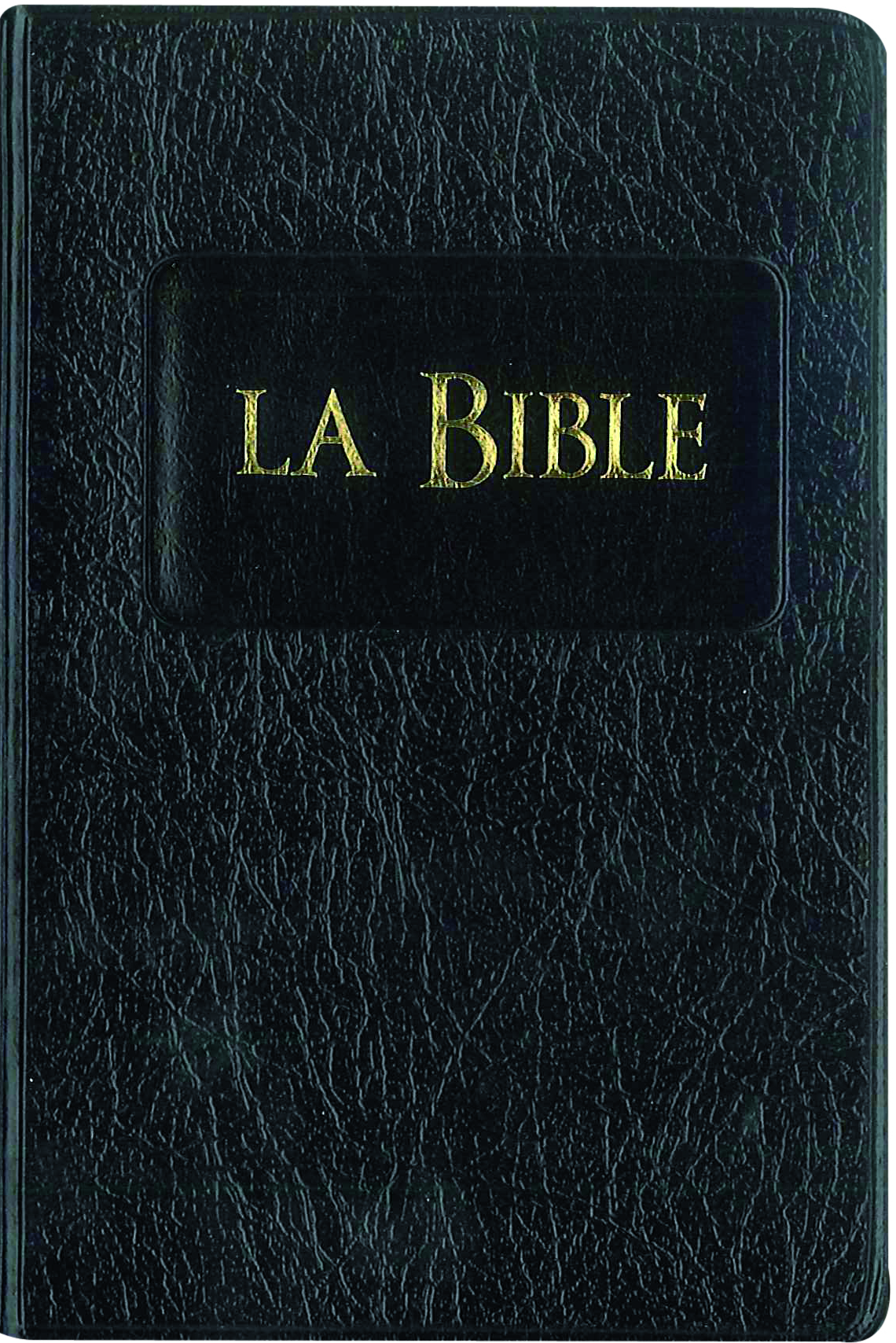 Bible Segond 21 de poche : souple noir