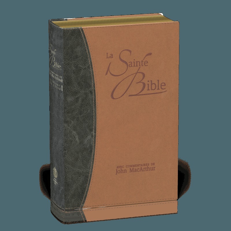 Bible neg Macarthur souple similicuir, tranches or duo bleu et beige