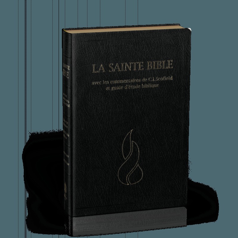 Bible NEG Scofield : fibrocuir noir, tranches or, onglets découpés