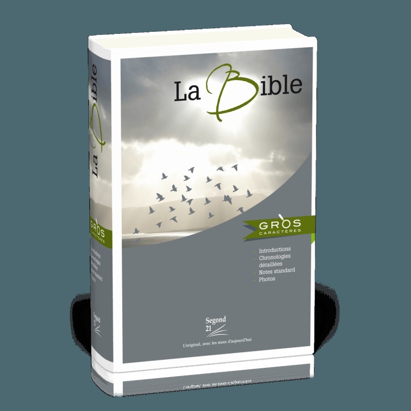 Bible à gros caractères Segond 21 avec repères chronologiques et notes standard, rigide illustre