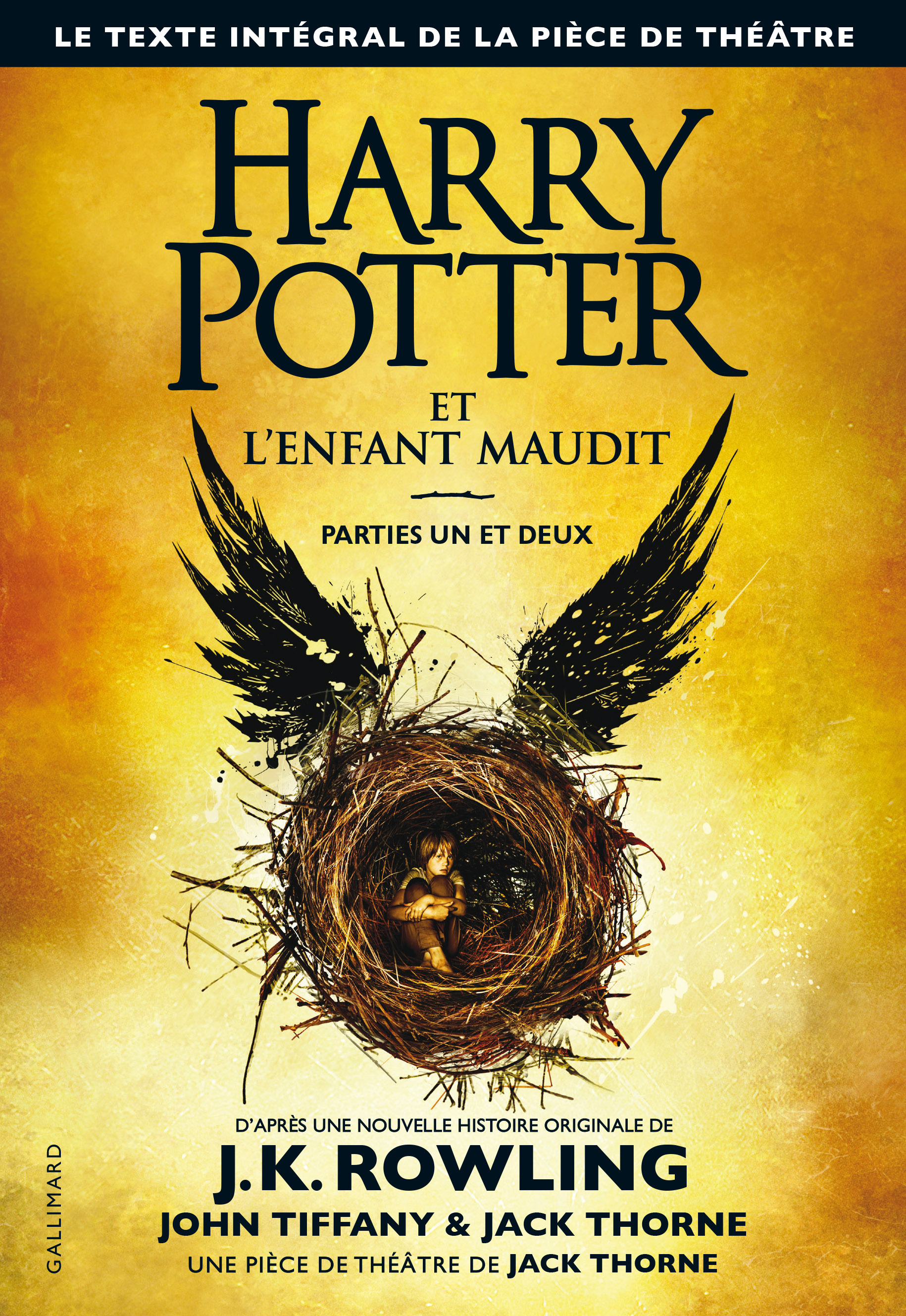 Harry Potter et l'Enfant Maudit