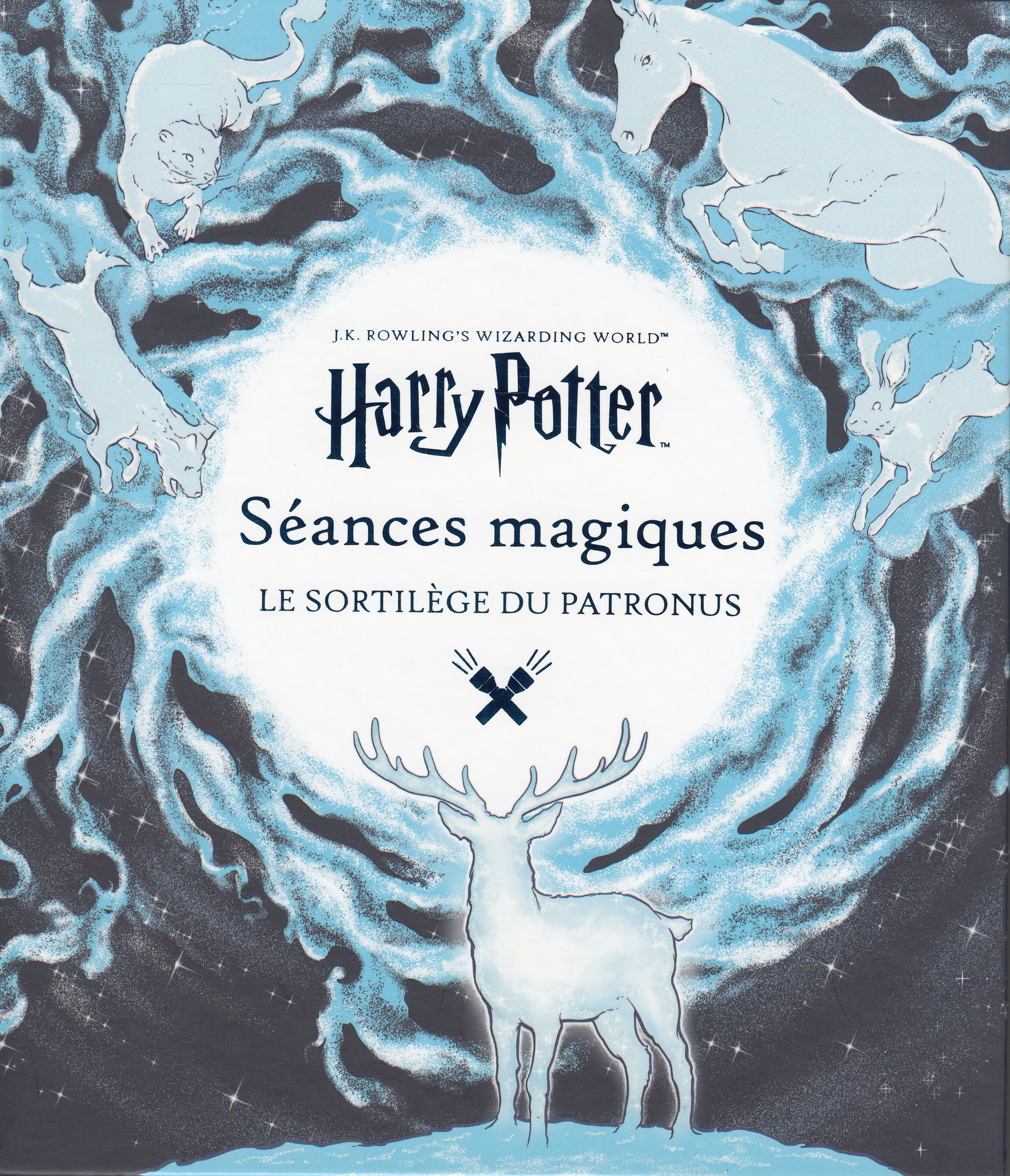 J.K. Rowling's Wizarding World - Séances magiques