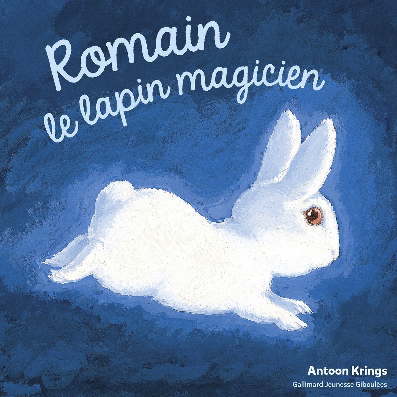 Les Drôles de Petites Bêtes - Romain le lapin magicien