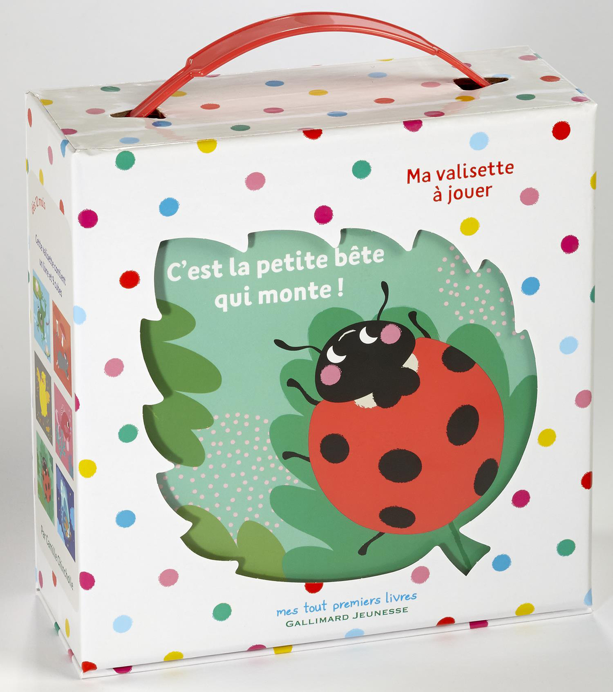 C-EST LA PETITE BETE QUI MONTE ! (UN LIVRE ET 9 CUBES)