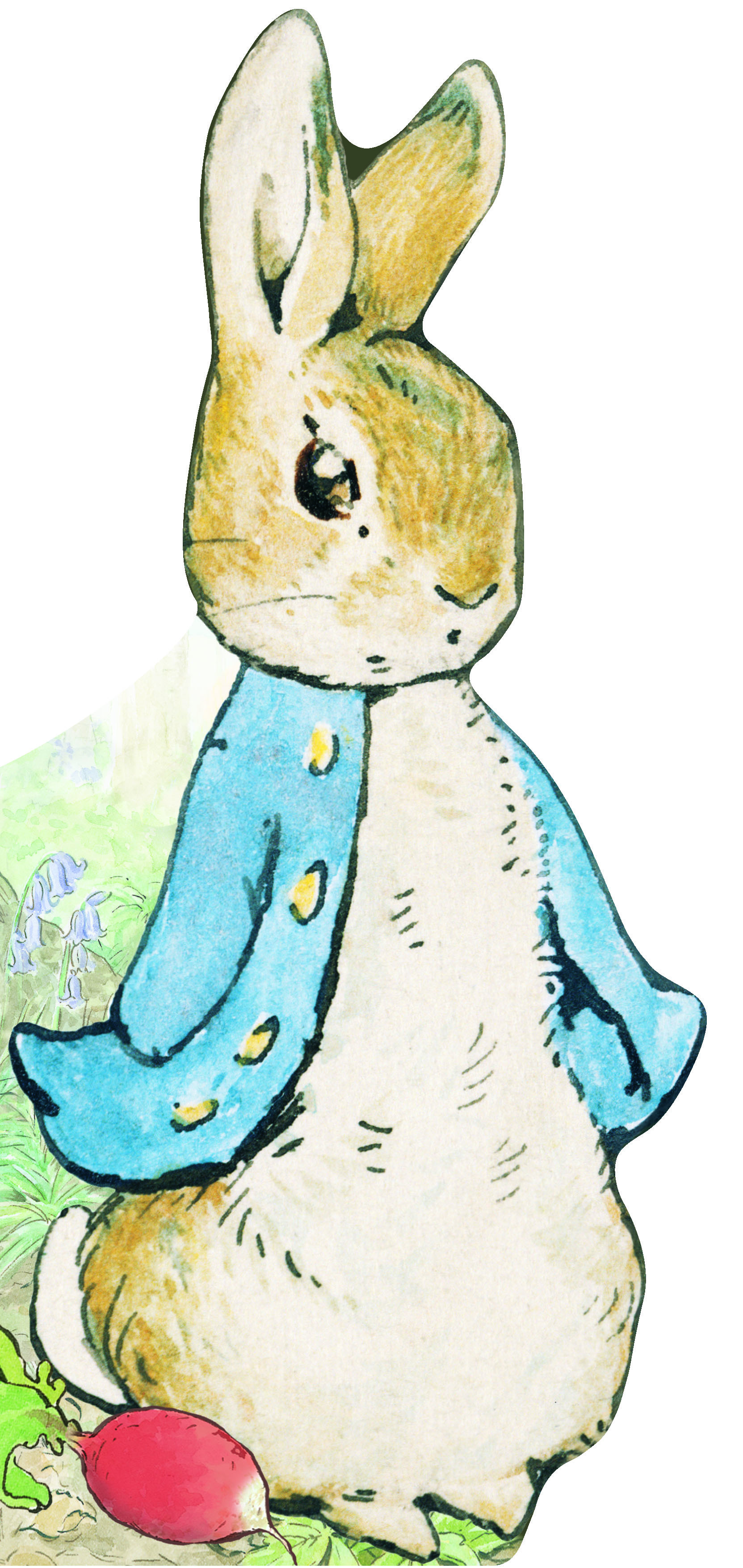 Bonjour, Pierre Lapin !