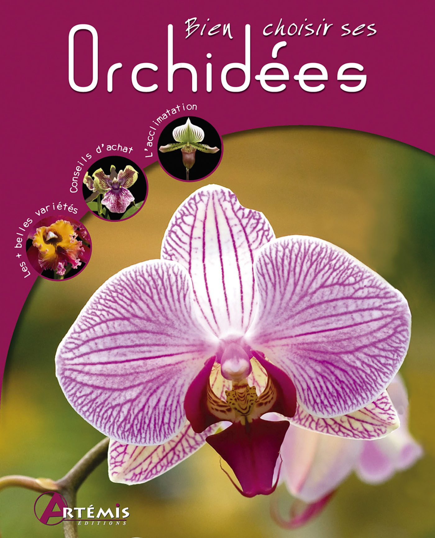 Orchidées