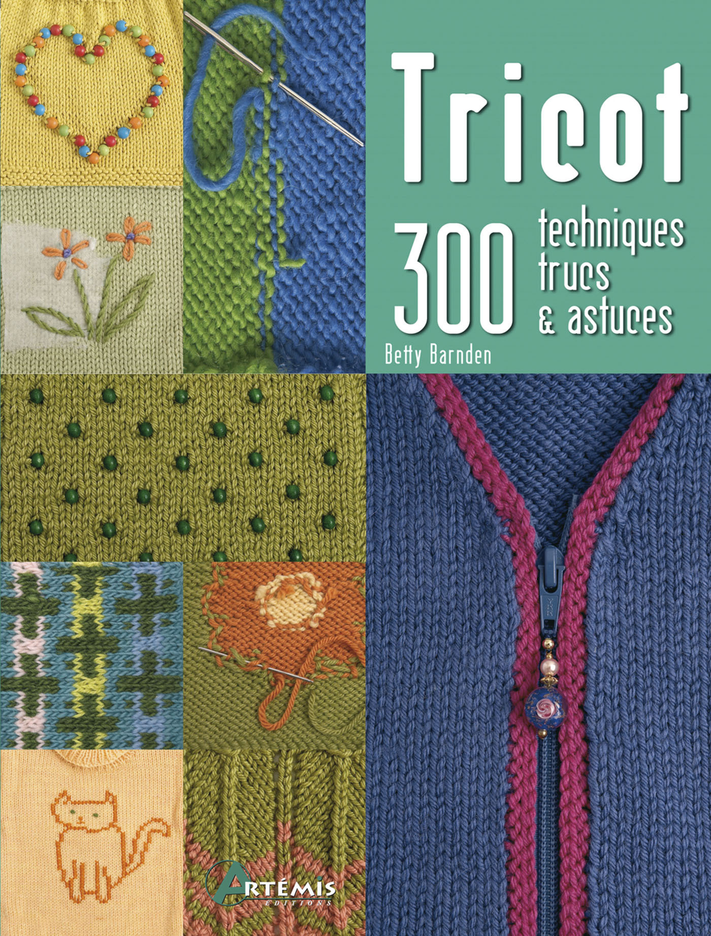 Tricot - 300 techniques, trucs & astuces