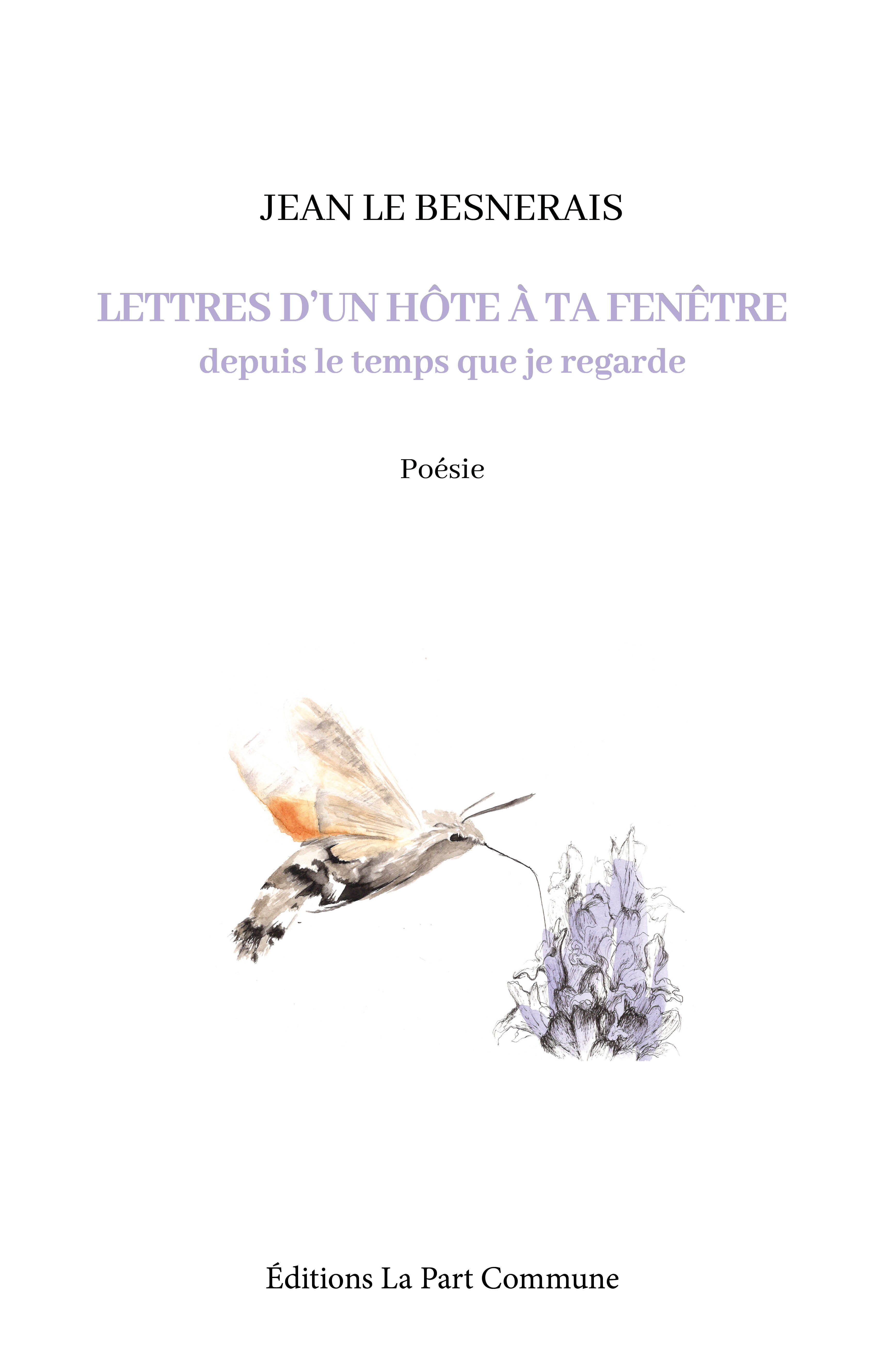 Lettres d’un hôte à ta fenêtre