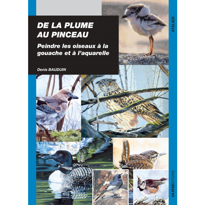 De la plume au pinceau : peindre les oiseaux à la gouache