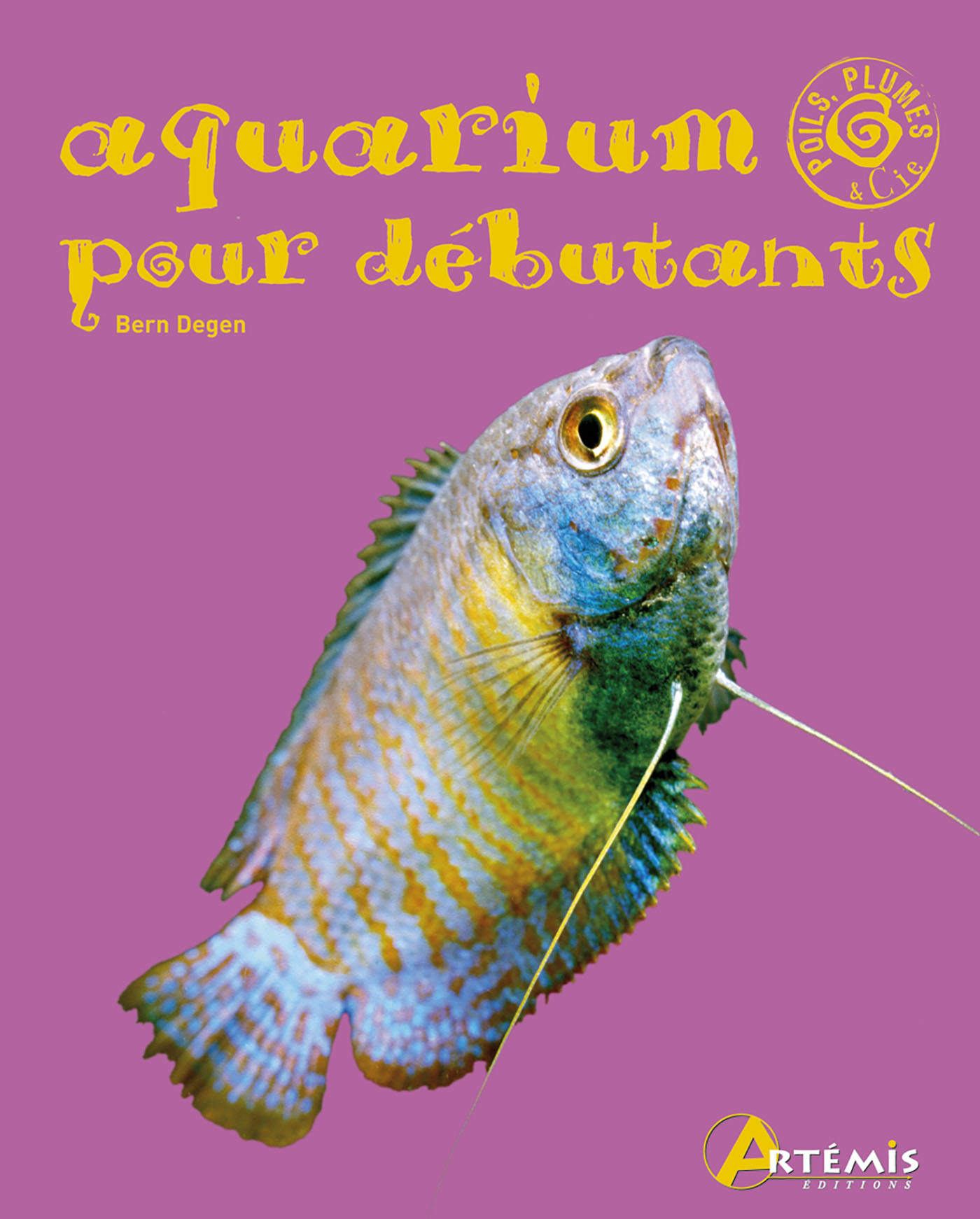 Aquarium pour débutants