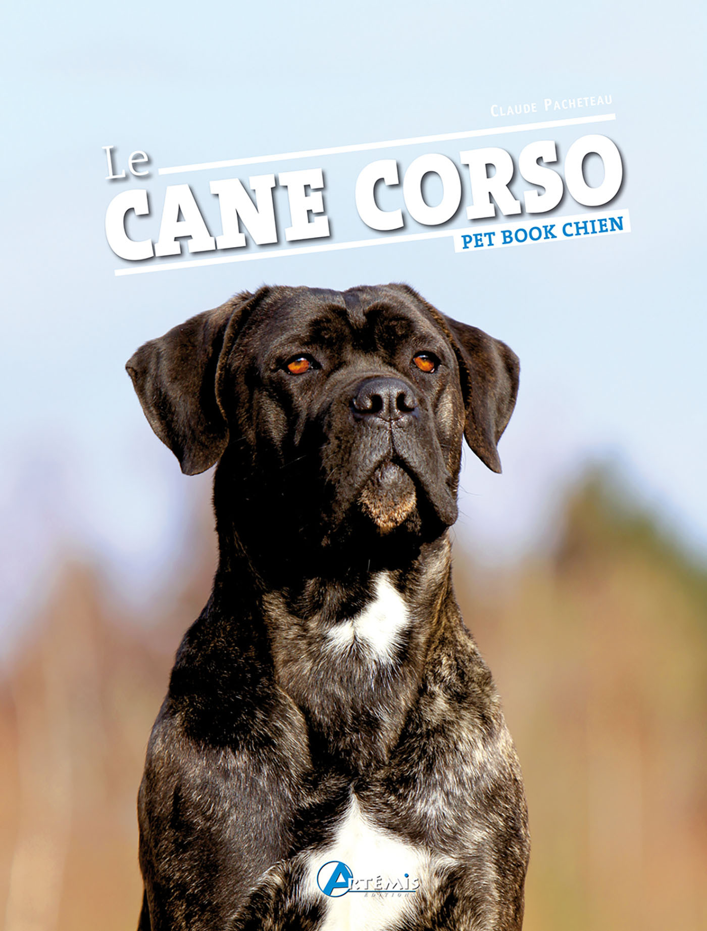 Le cane Corso