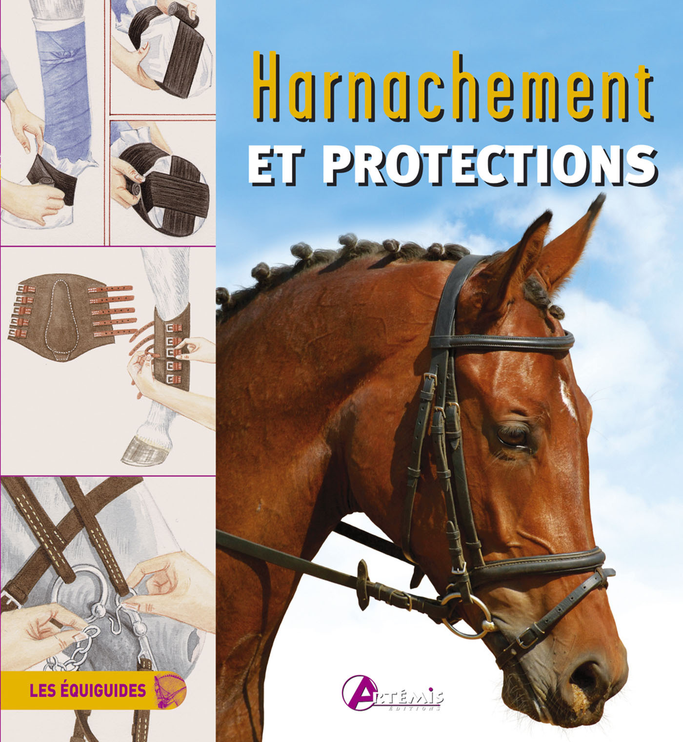 Harnachement et protections