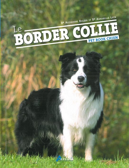Le border collie