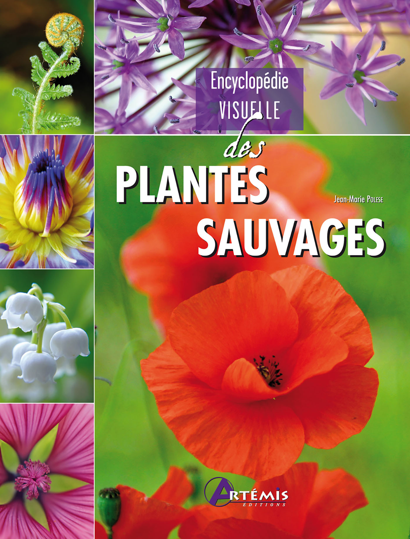 Plantes sauvages