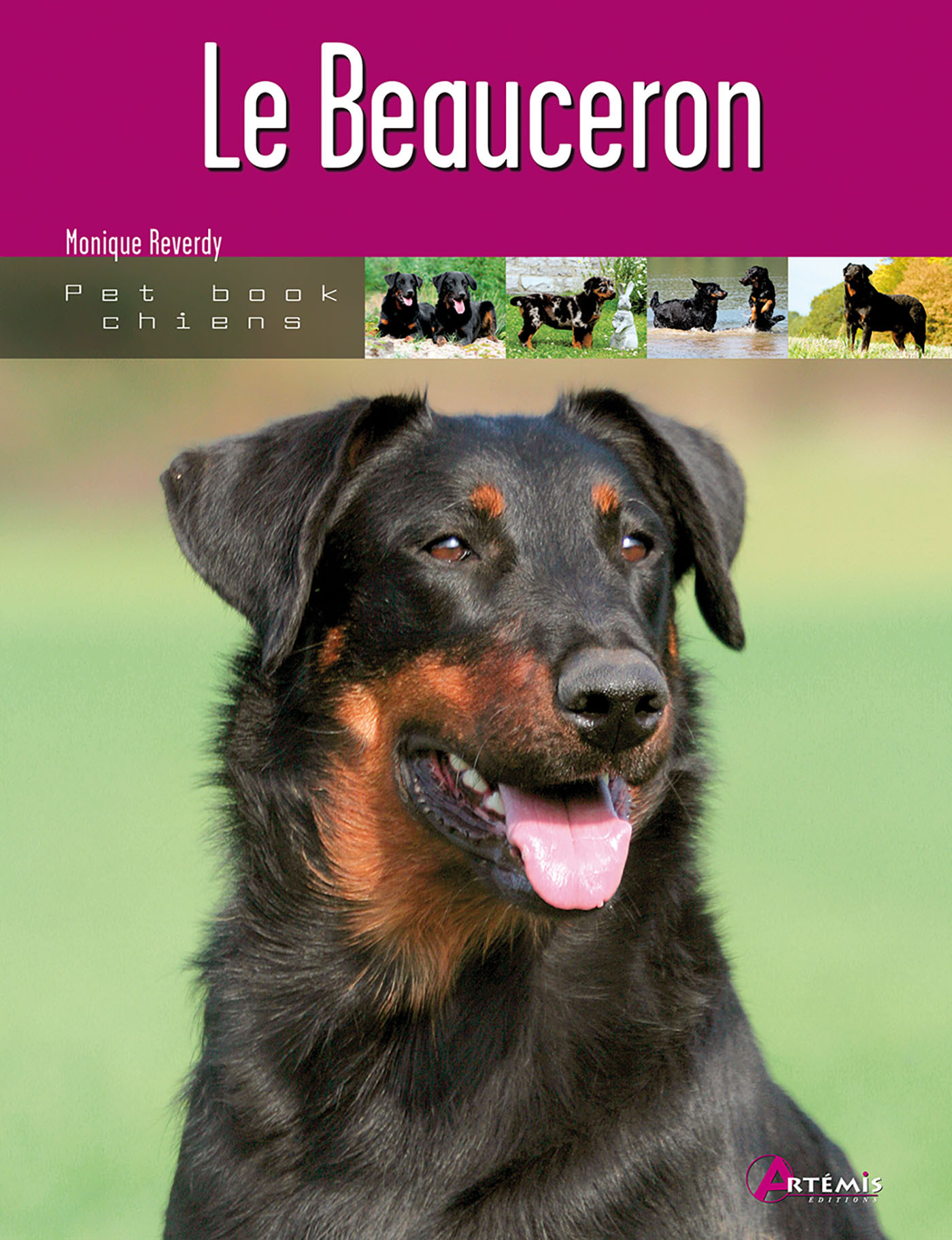 Le beauceron