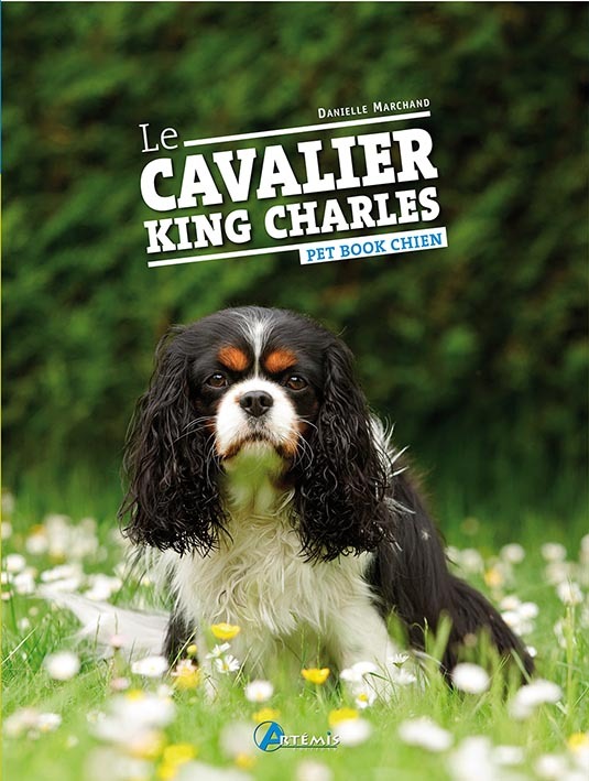 Le cavalier King Charles