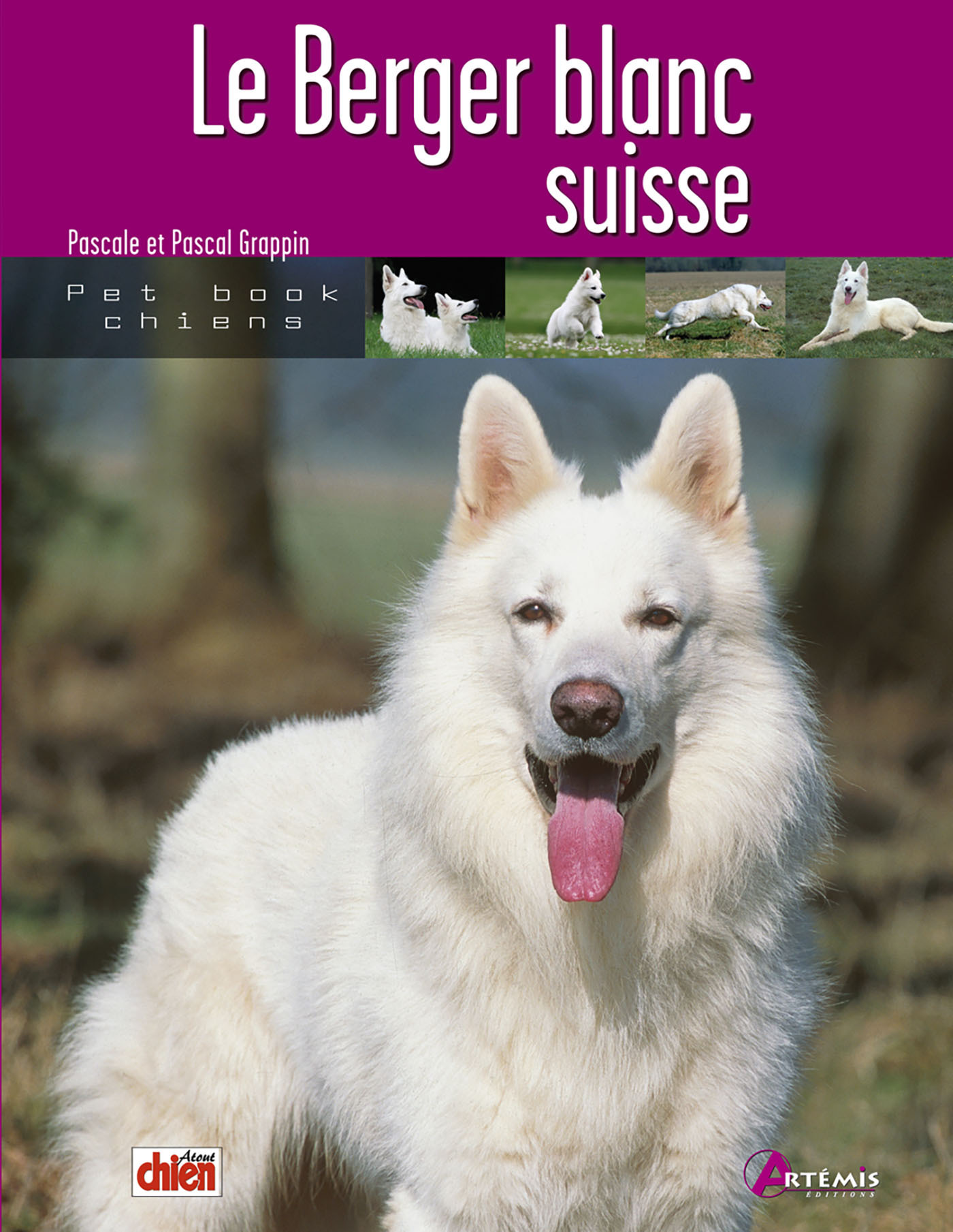 Le berger blanc suisse
