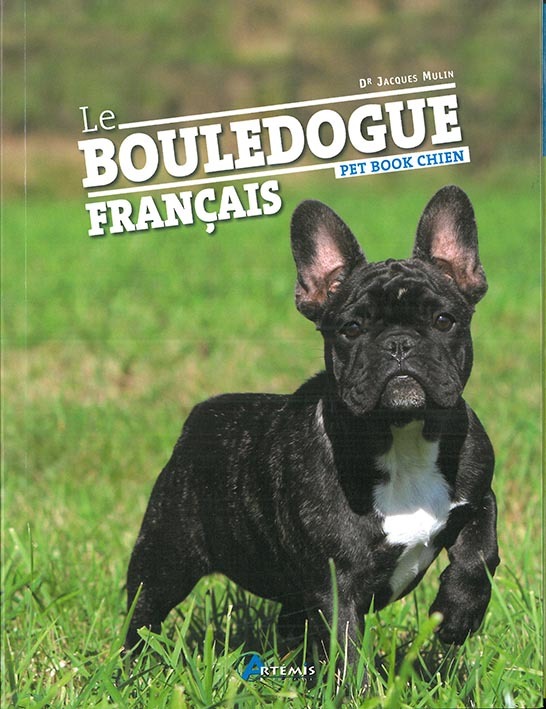 Le bouledogue français