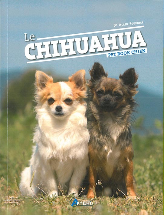 Le chihuahua
