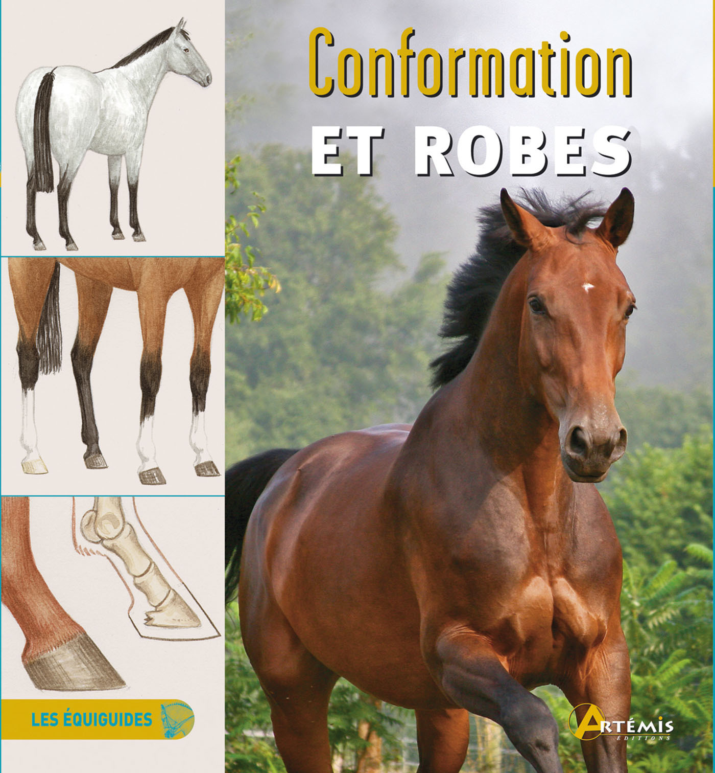 Conformation et robes