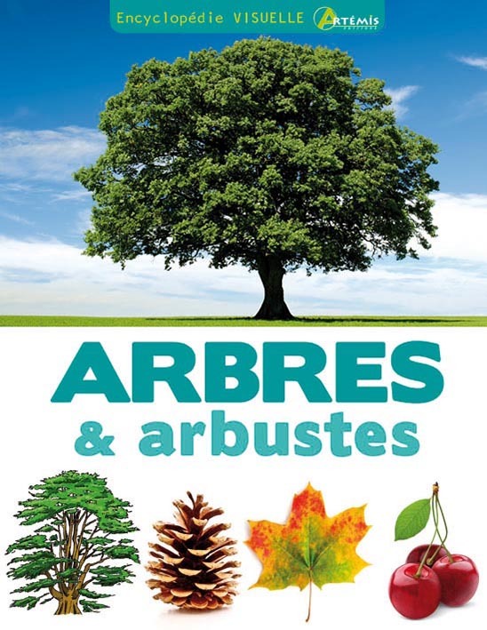 Arbres et arbustes