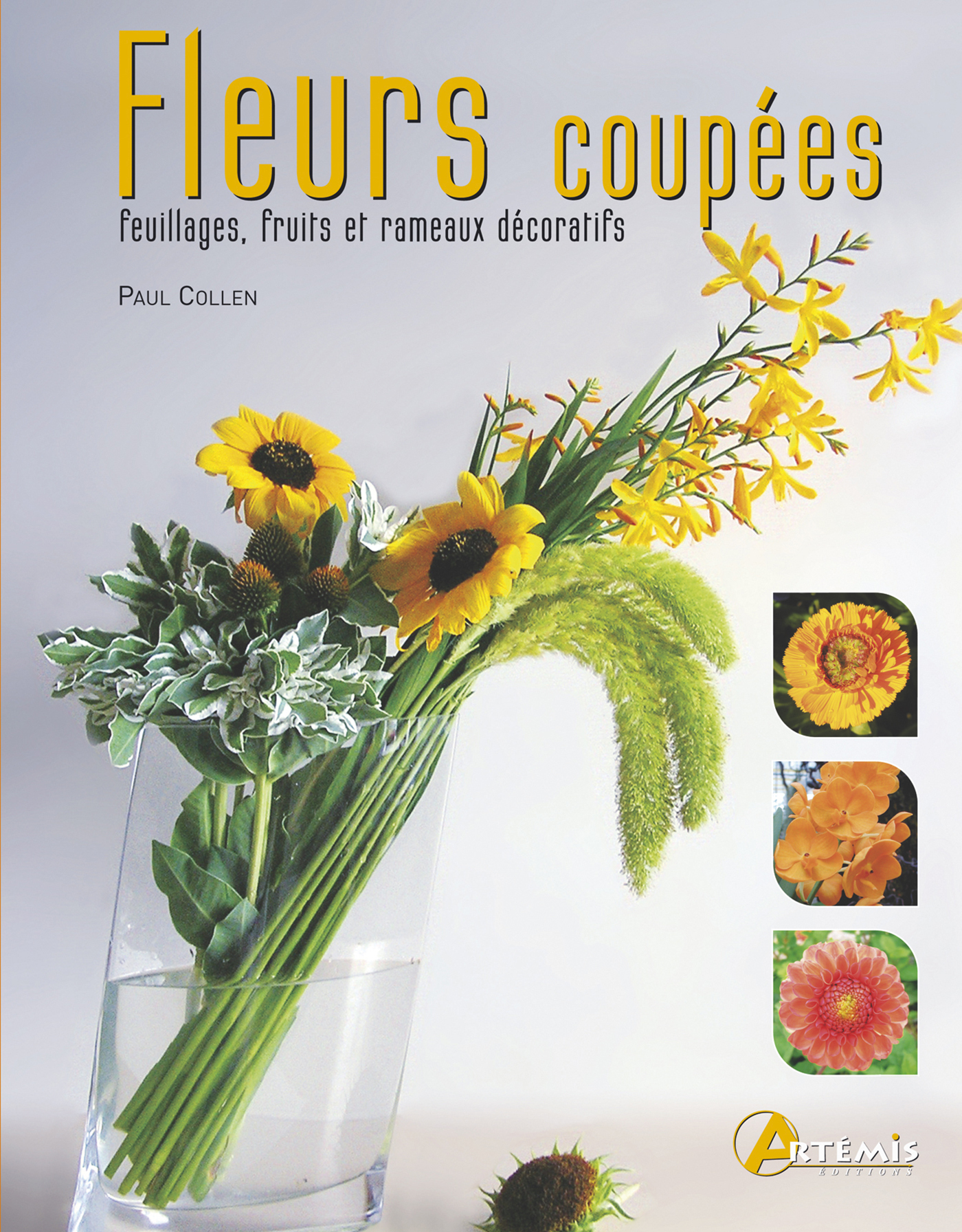 Fleurs coupées - feuillages, fruits et rameaux décoratifs