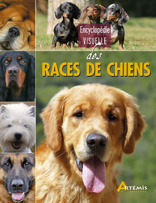 Encyclopédie visuelle des races de chiens