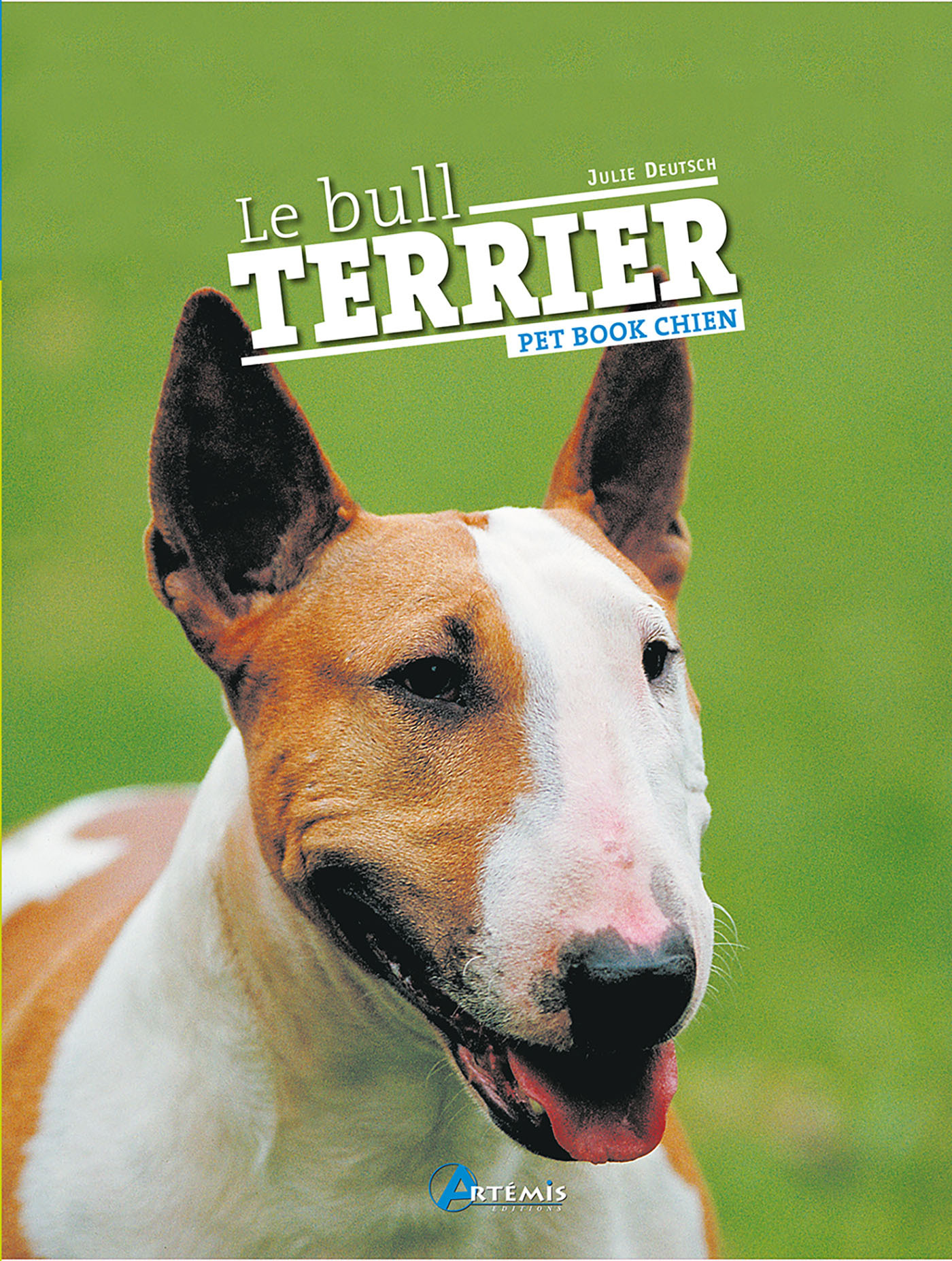 BULL TERRIER