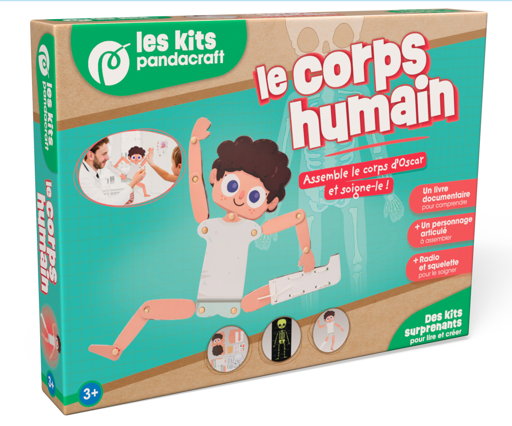 Le corps humain - Kit Pandacraft dès 3 ans