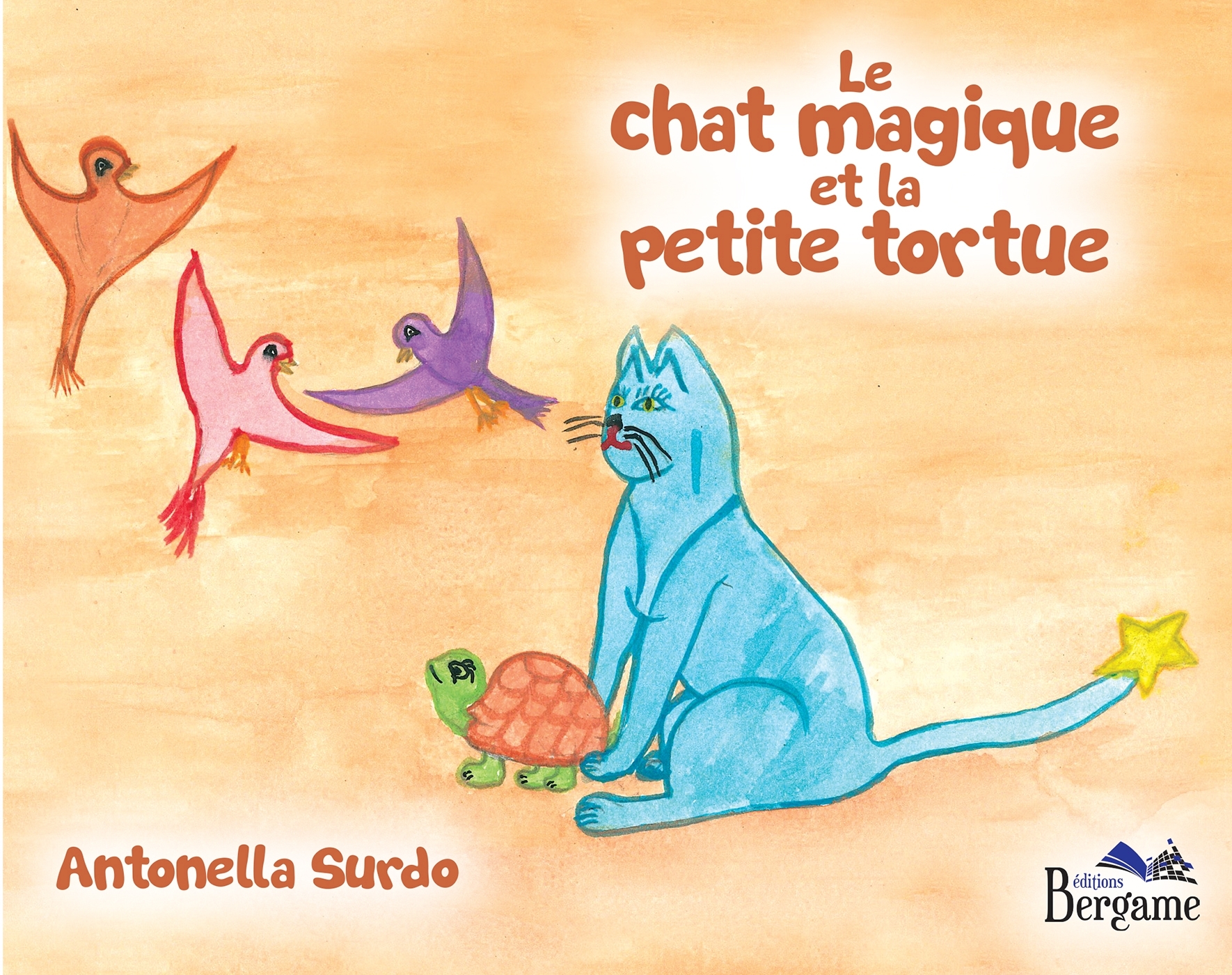 Le chat magique et la petite tortue